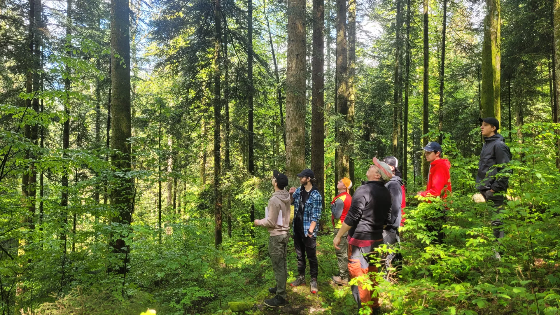 Groupe de huit personnes en forêt, observant les alentours avec attention
