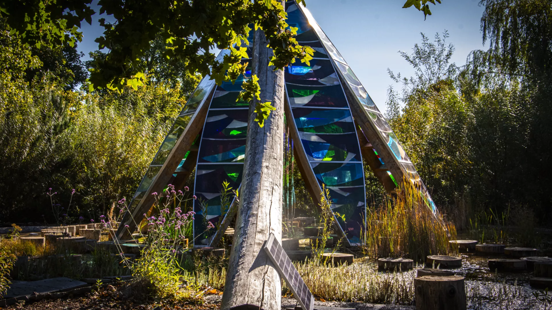 Photo fleure boréal