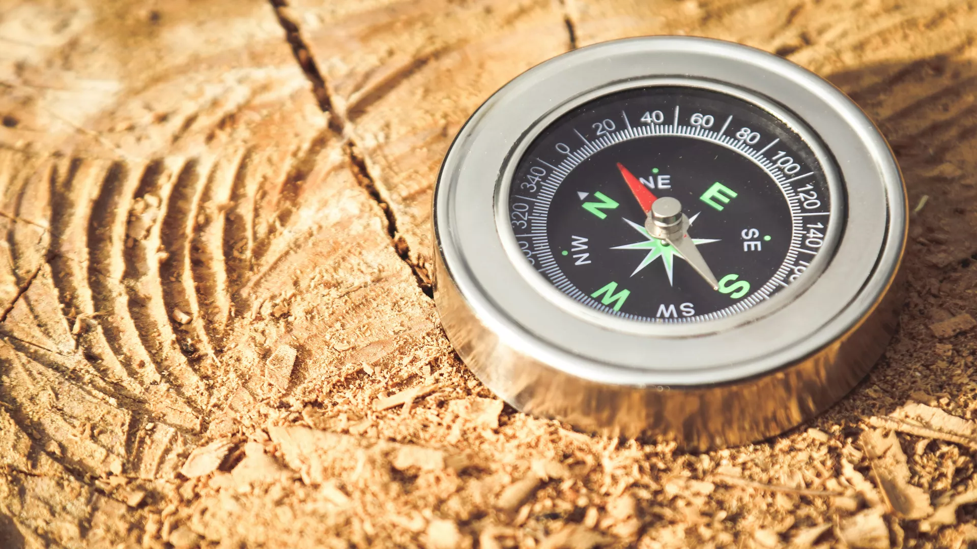 Boussole posée sur un tronc d'arbre, photographiée de près