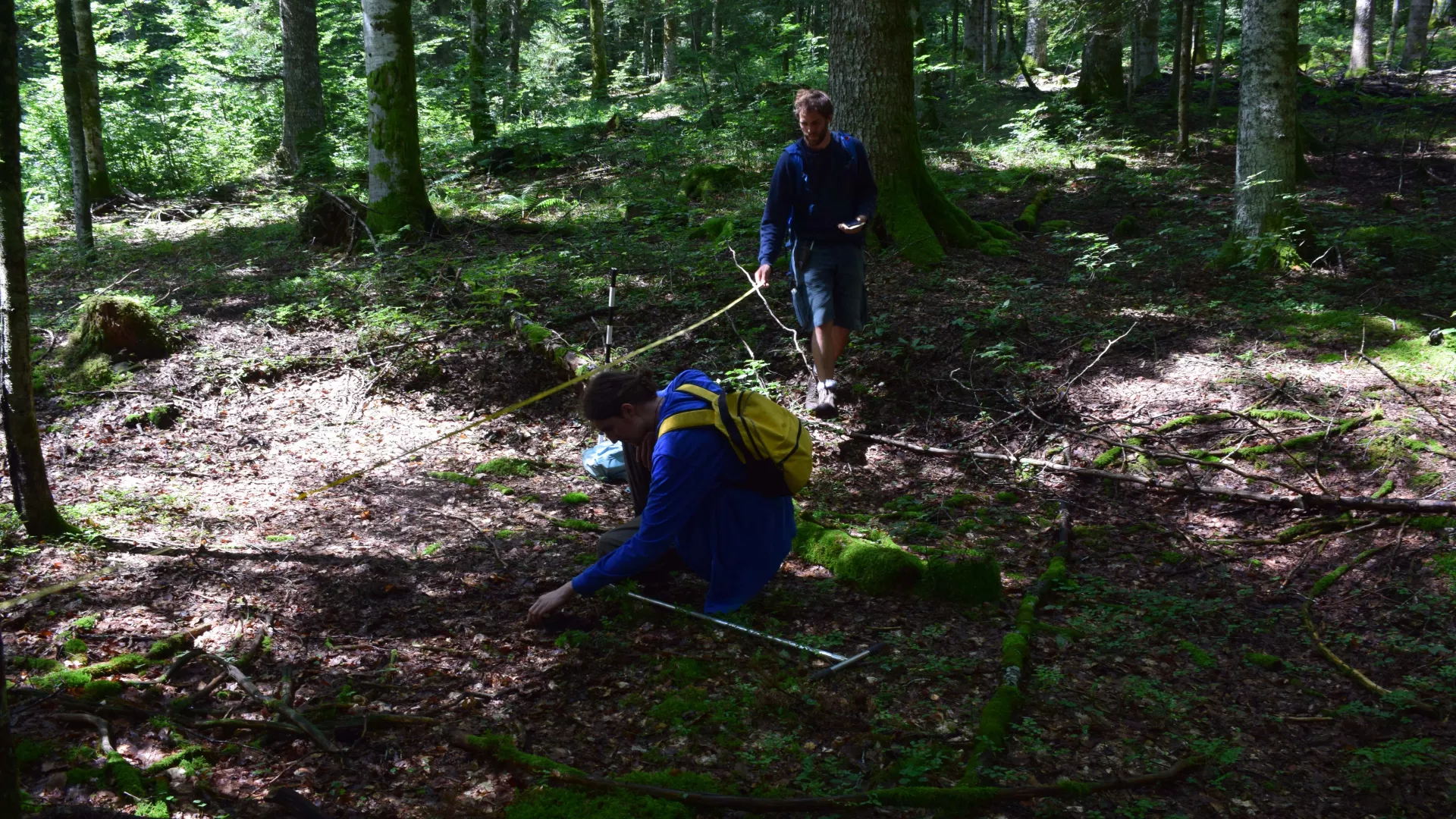 Archéologues faisant des sondages dans le sol réalisés à l’aide d’une tarière dans les forêts du Val-de-Travers 