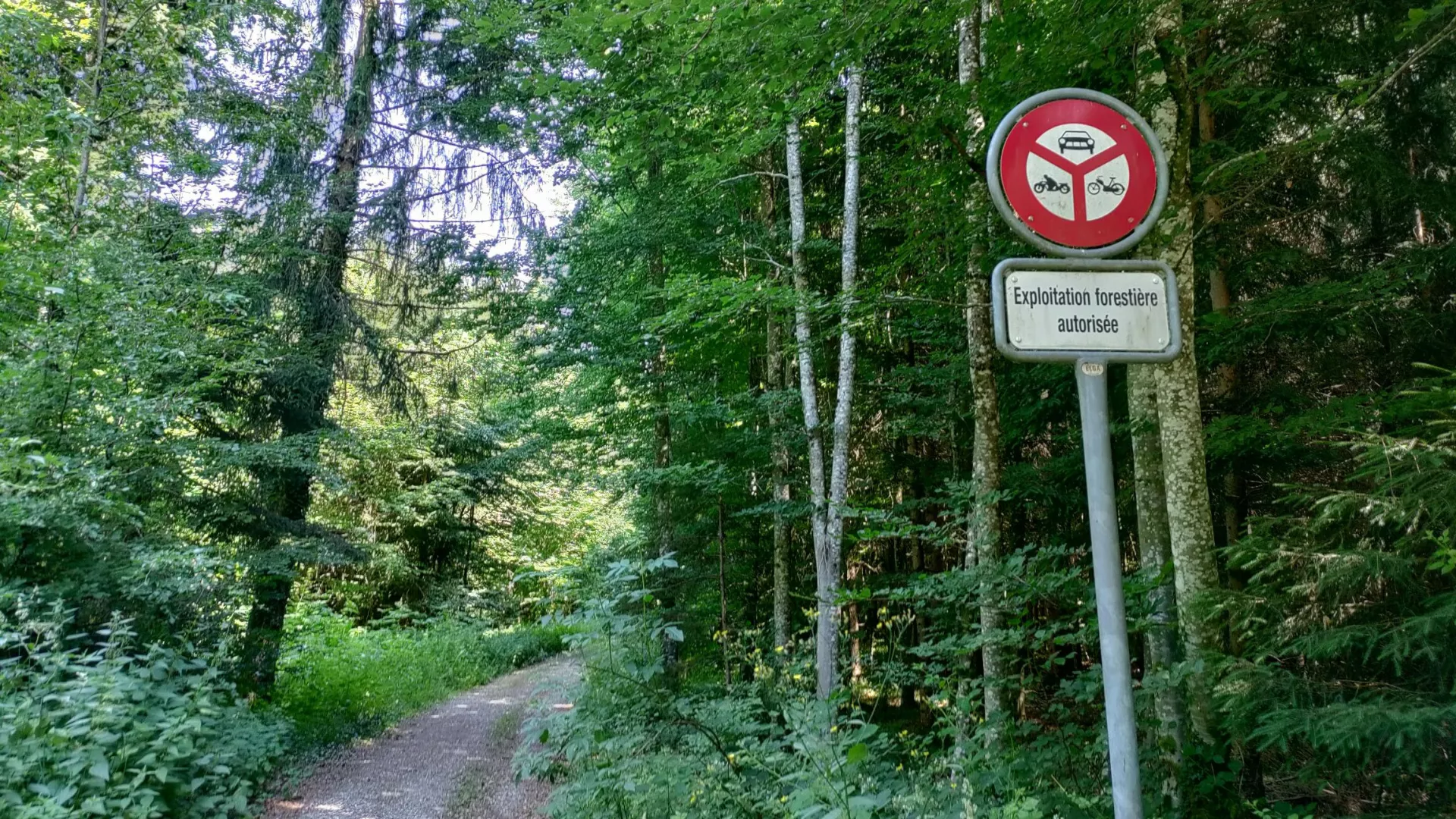 Chemin forestier avec un panneau de signalisation indiquant l'interdiction de circuler.