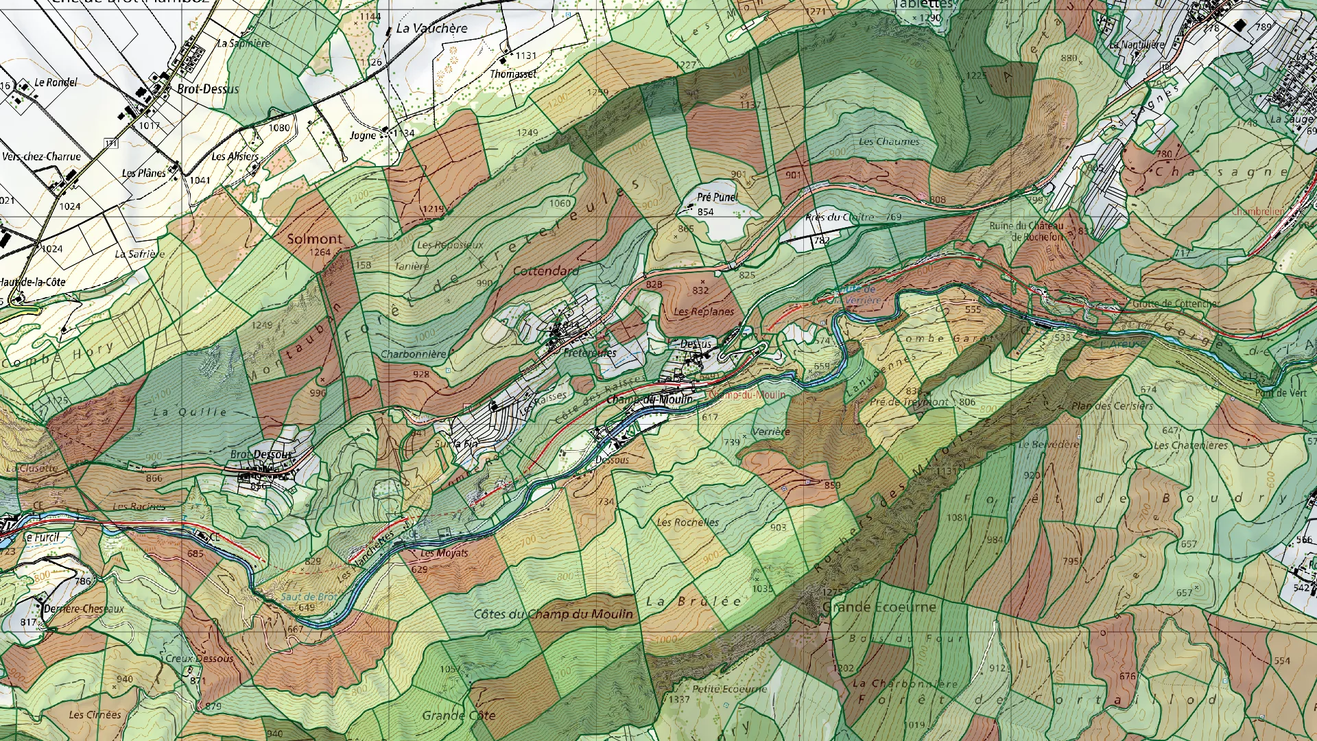 Carte colorée de divisions forestières utilisée à but d'illustration uniquement.