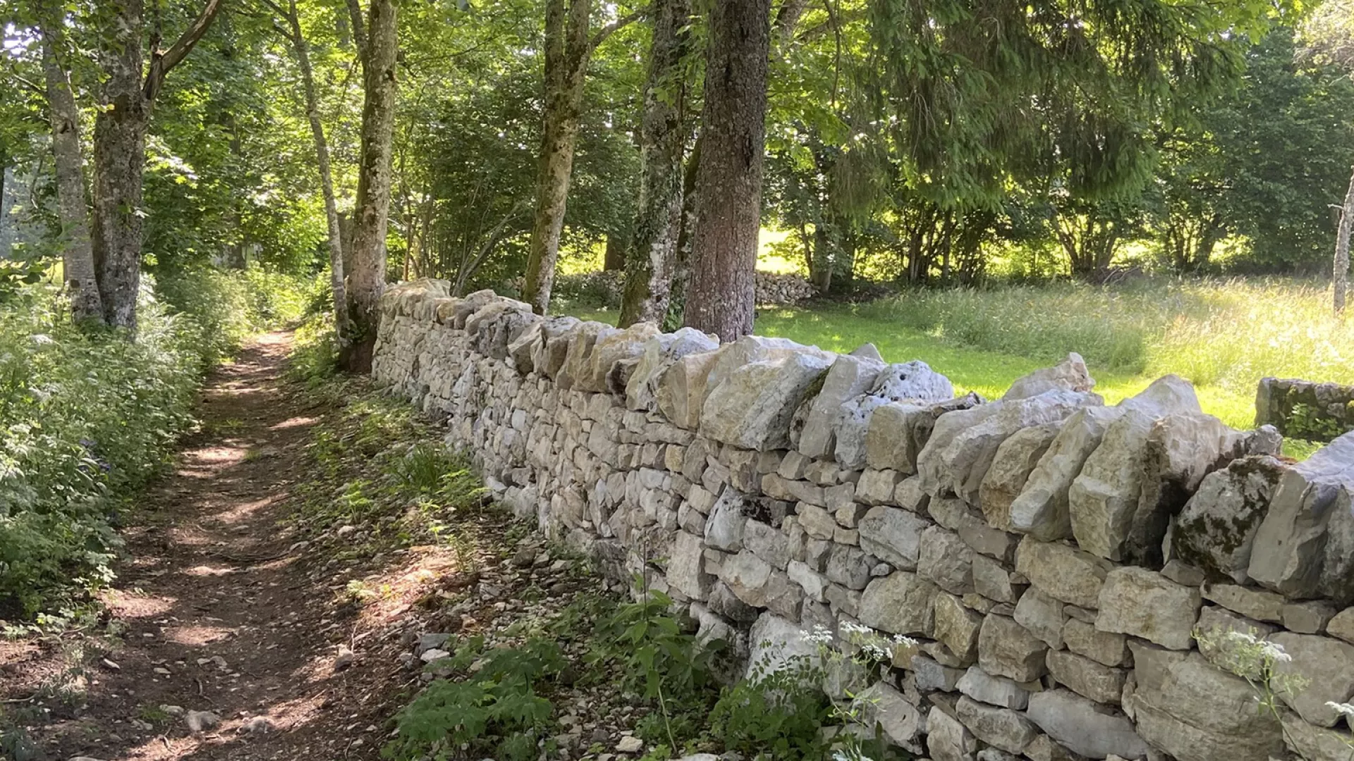 Vue d'un chemin bordé d'un mur en pierres sèches
