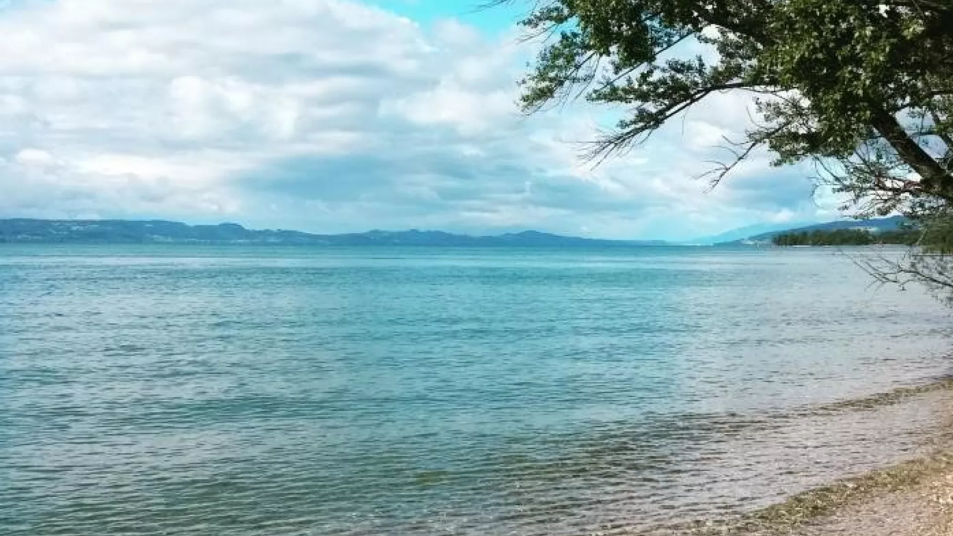 Lac de Neuchâtel à Cortaillod