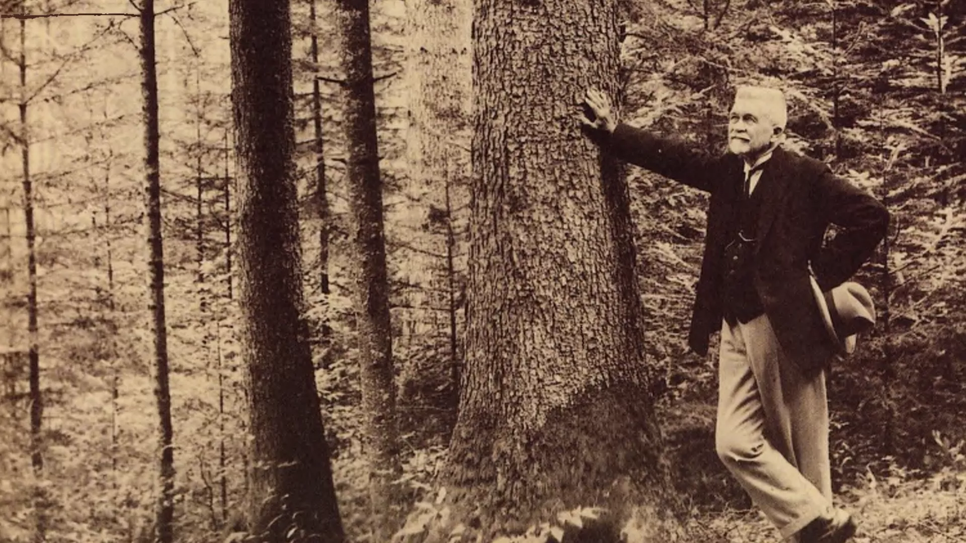 Extrait recadré d'une photo dans la forêt de Couvet, 24 septembre 1929. Henry Biolley prend fièrement appui sur un épicéa dans la division I/14.