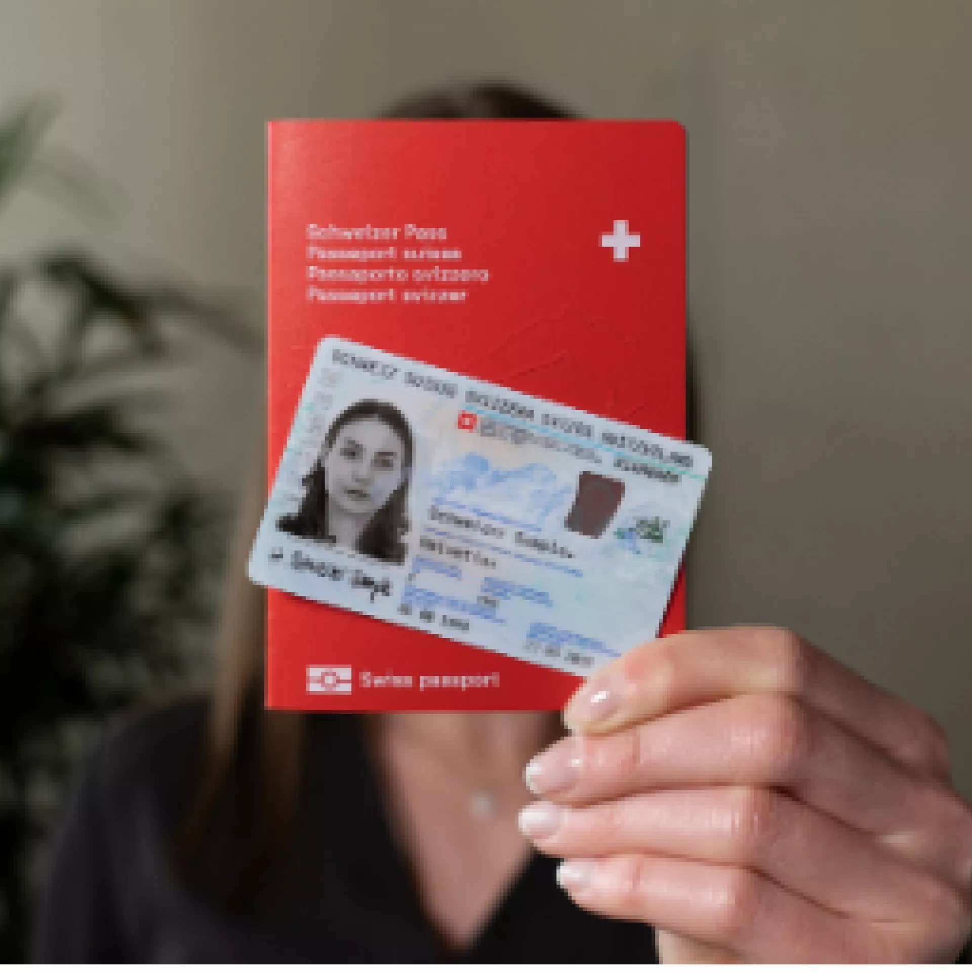 Photo carte identité et passeport 