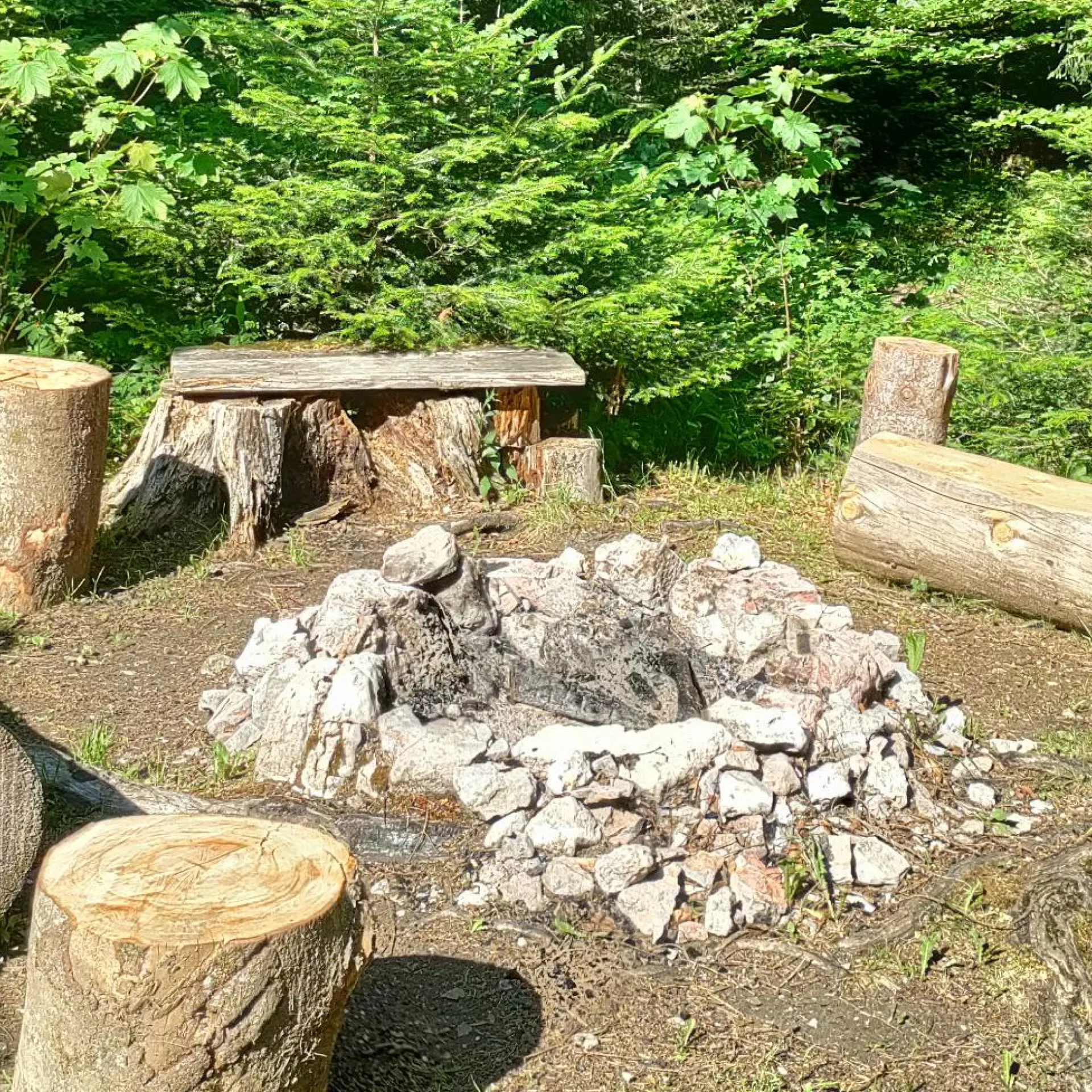 Place en forêt avec un foyer en pierres rempli de cendres, entourés de bancs et tabourets faits à partir de troncs.